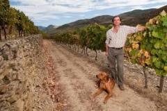 Douro-winemaker